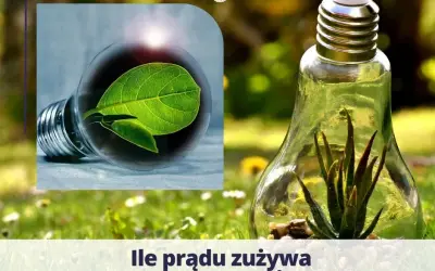 Ile prądu zużywa odświeżacz powietrza? Roczny koszt zaskakuje!