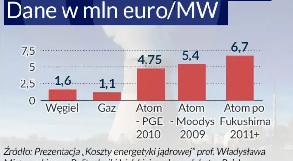Czeski atom: Filar bezpieczeństwa i wzór dla Polski?