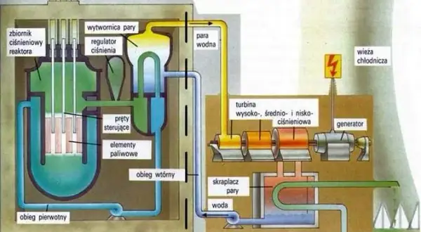 Atom w gniazdku: Jak działa elektrownia jądrowa i czy jest bezpieczna?